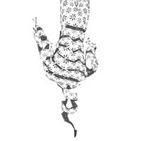 Yong Ju Lee Architecture